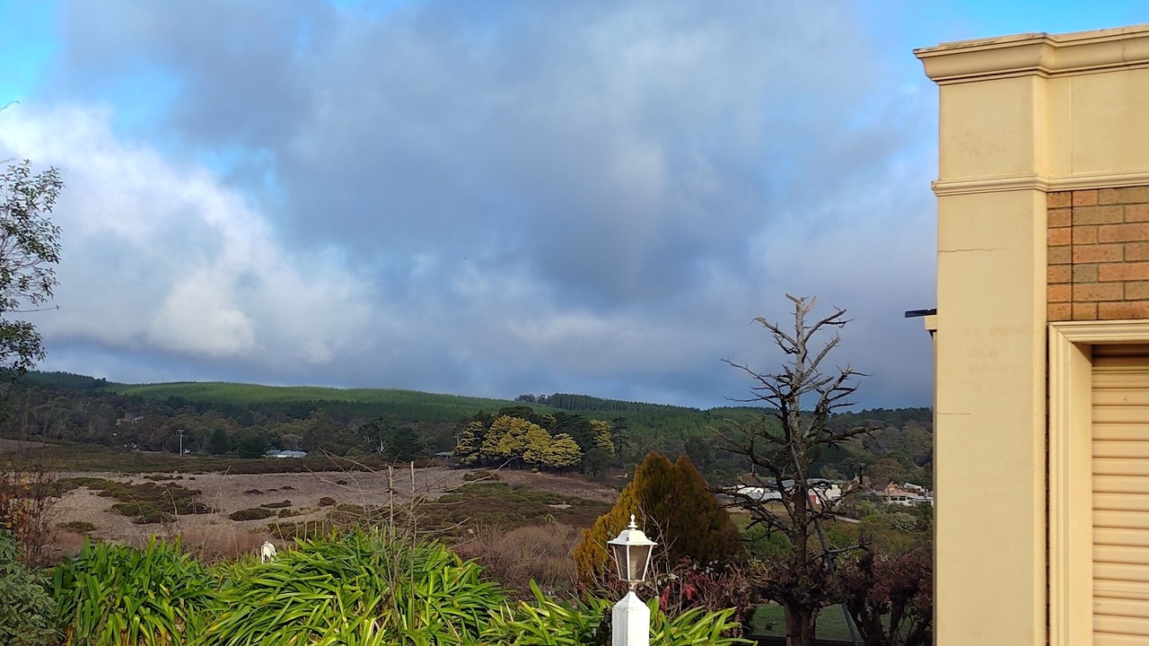 Photo of Outdoor in Sebastopol