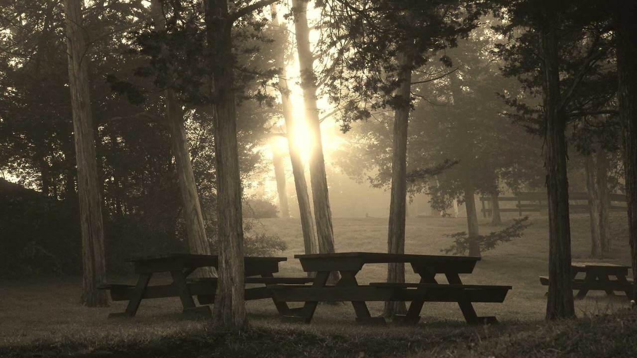 Photo of Outdoor in Athens