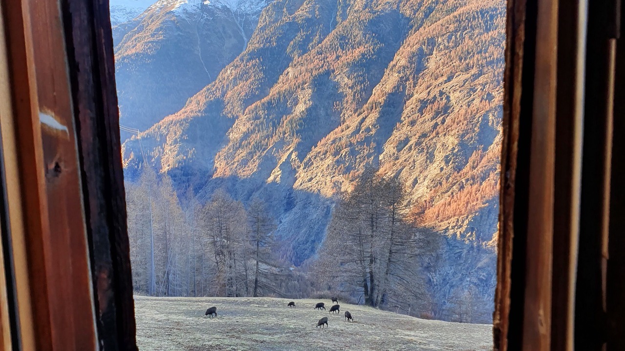 Photo of Others in Staldenried  Gspon