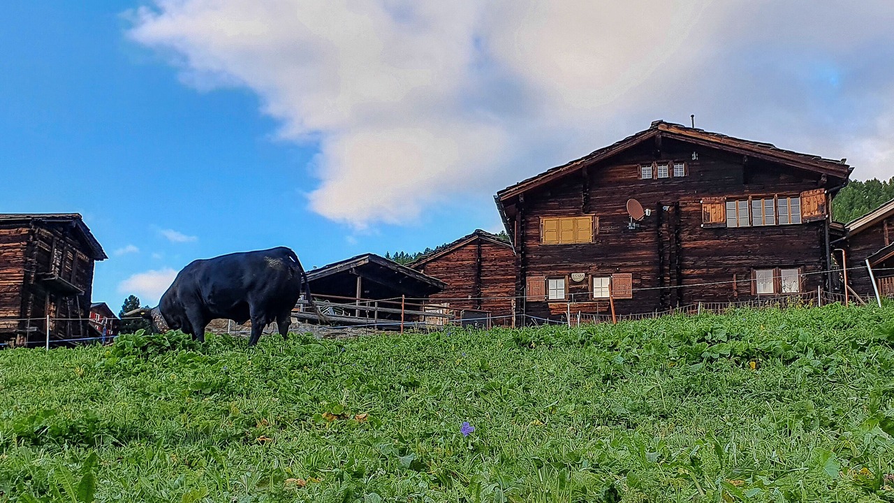 Photo of Outdoor in Staldenried  Gspon