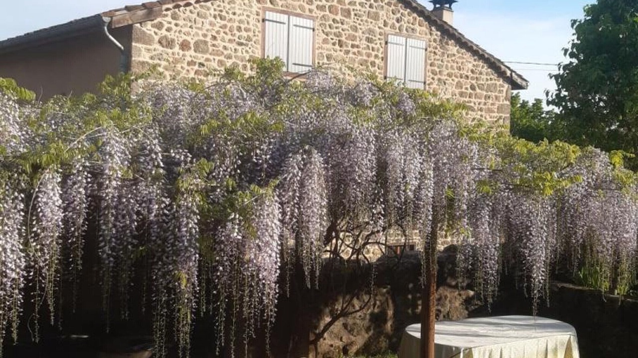 Photo of Outdoor in Saint-Didier-sur-Rochefort