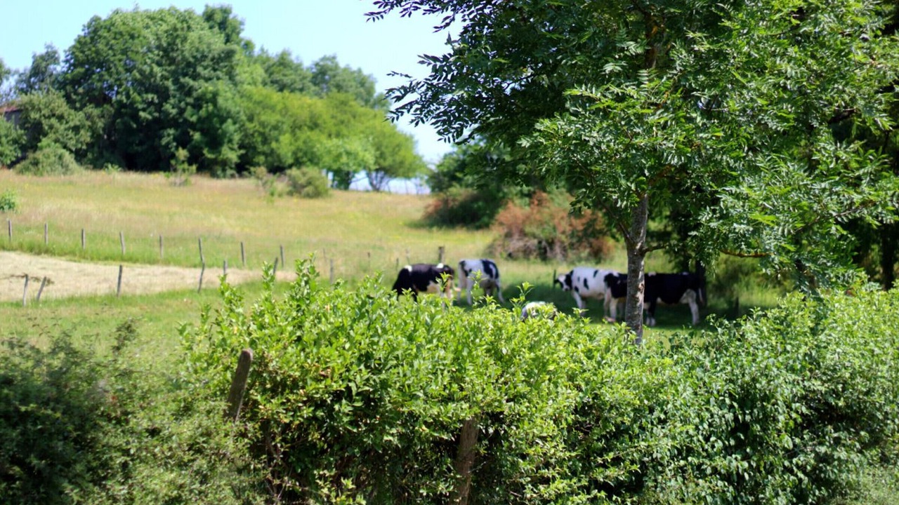 Photo of Others in Panissieres