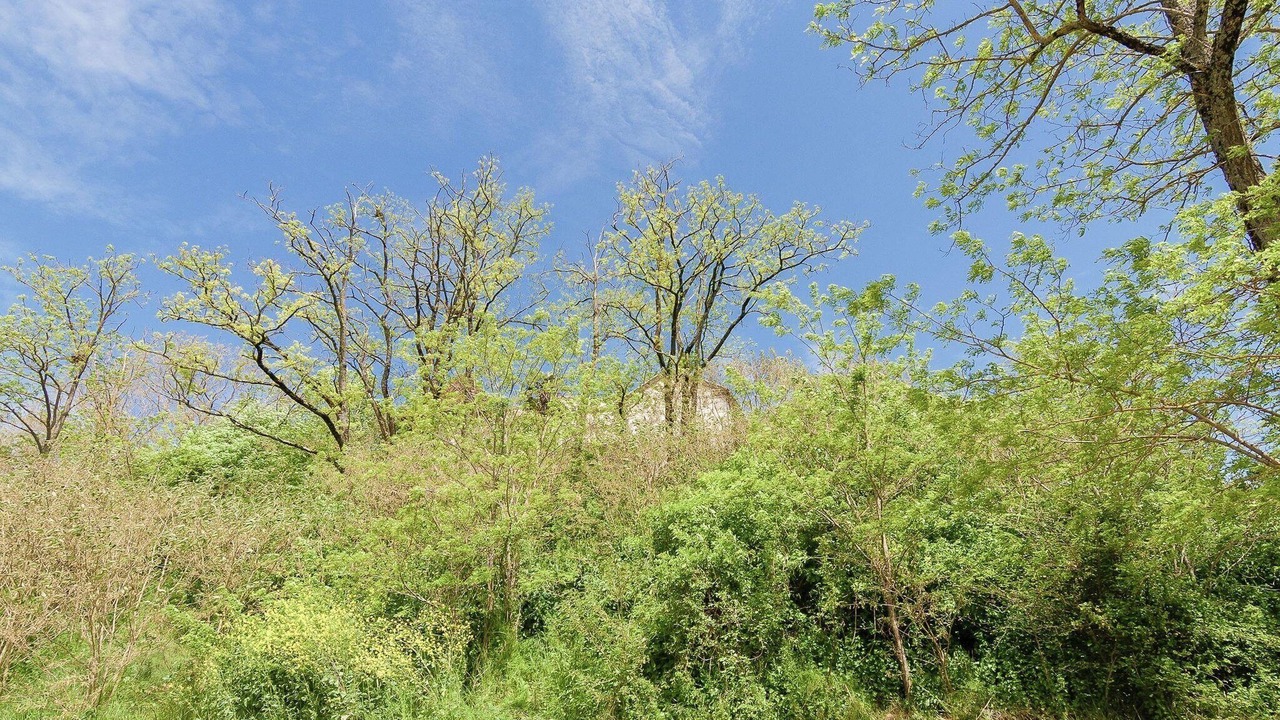 Photo of Others in Tournon-d'Agenais