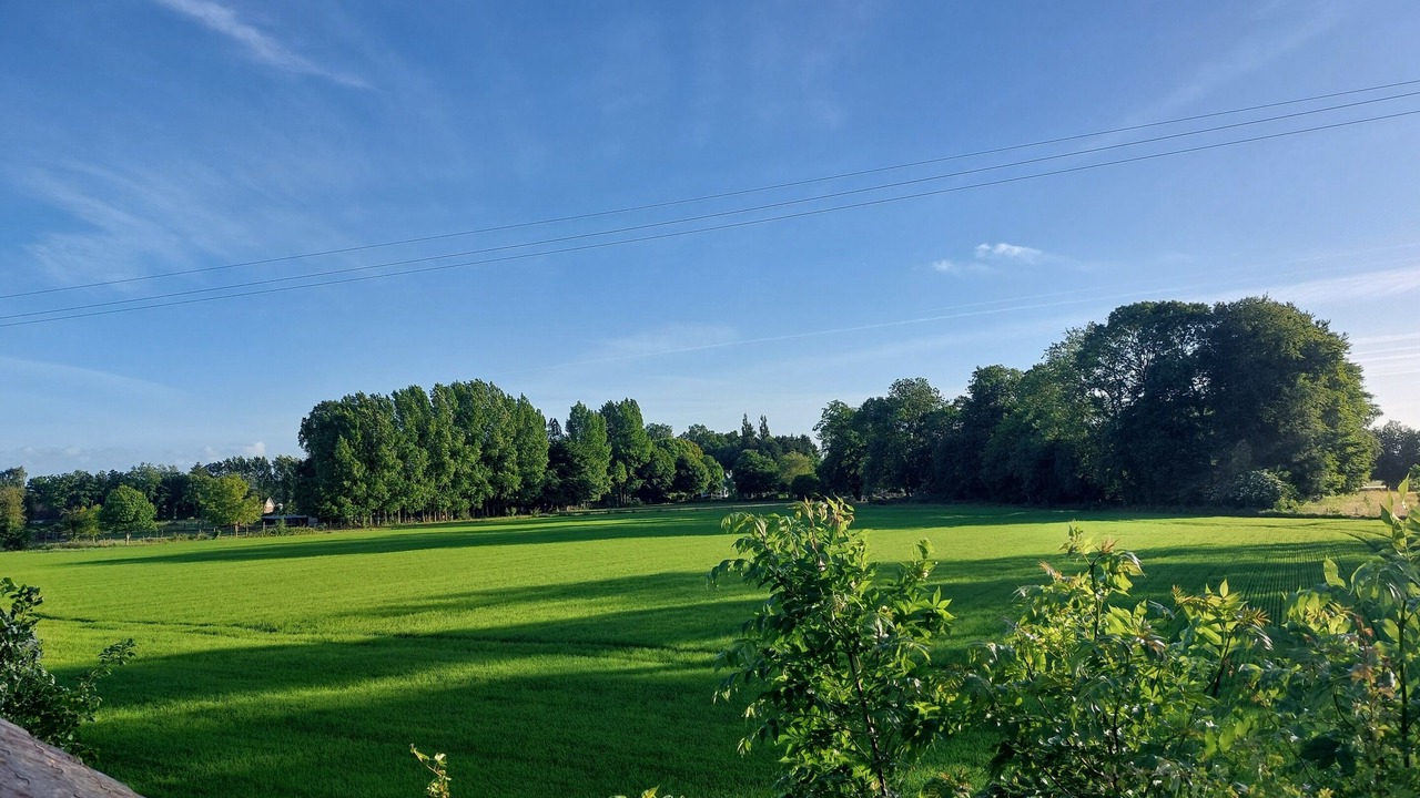 Photo of Others in Belmesnil
