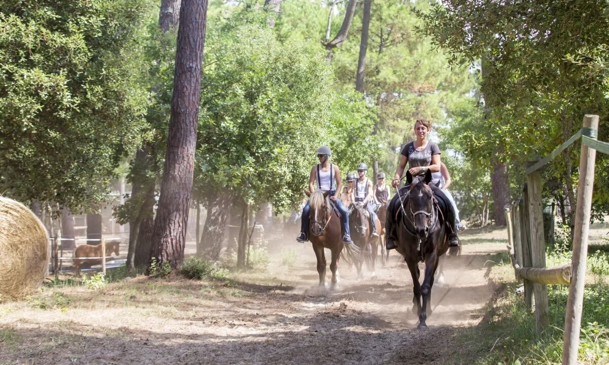 Photo of Others in La Tremblade