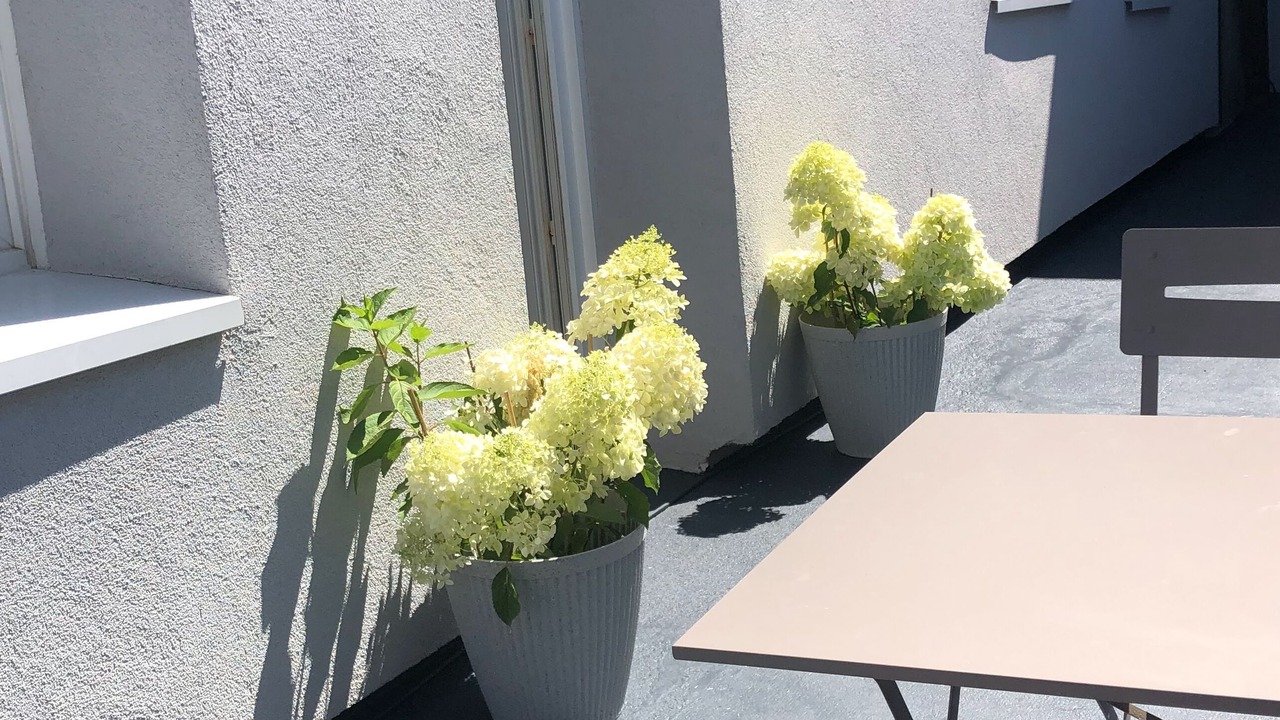 Photo of Outdoor in Fecamp