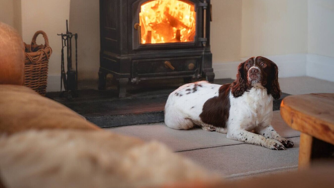 Photo of Others in Stapleton