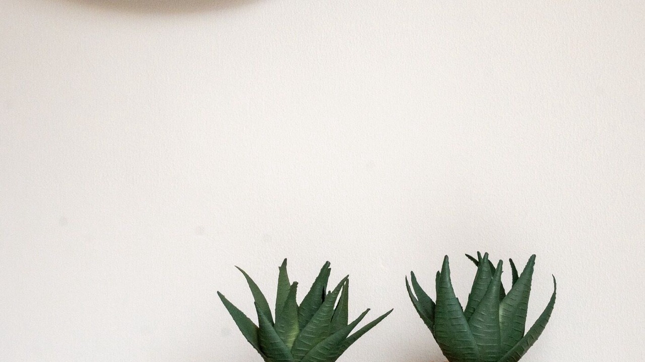 Photo of Others in King's Park