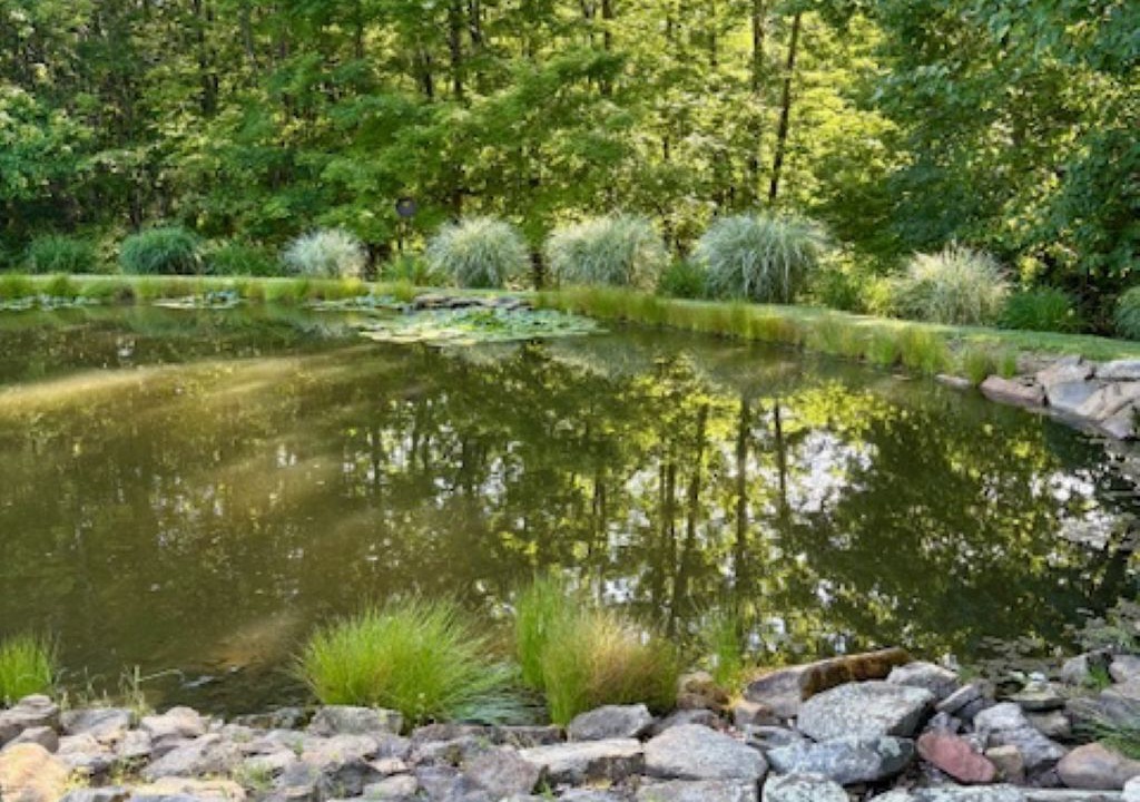 Photo of Outdoor in Dellroy