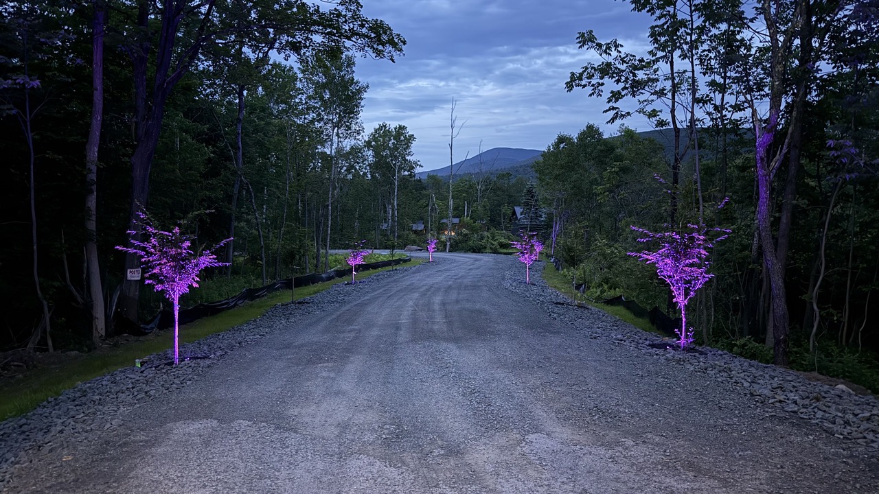 Photo of Others in Hensonville