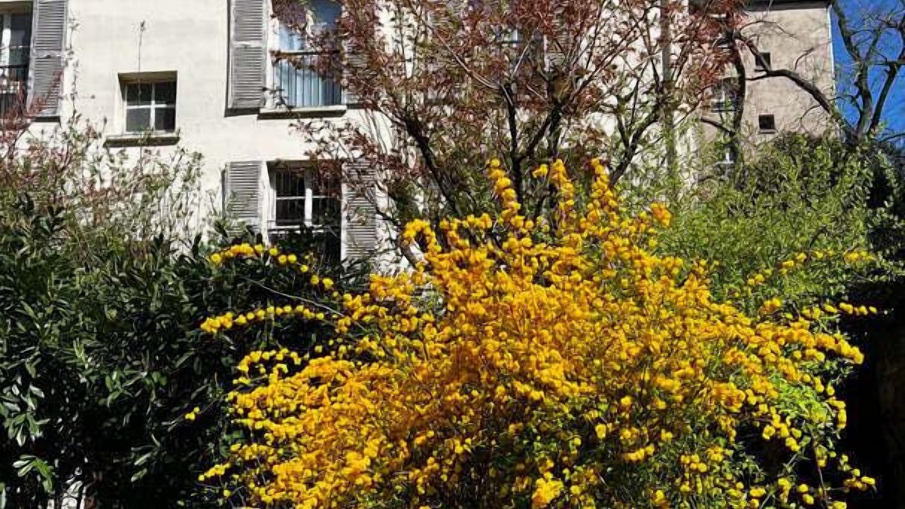 Photo of Outdoor in Montmartre
