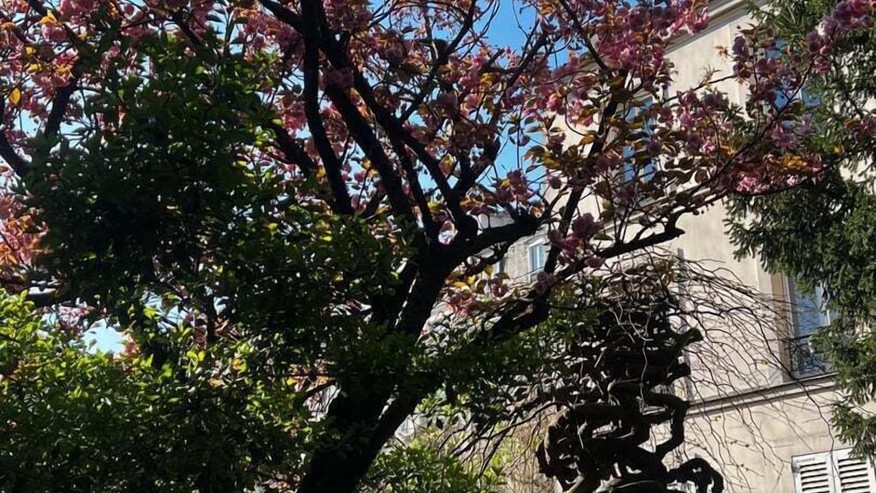 Photo of Others in Montmartre