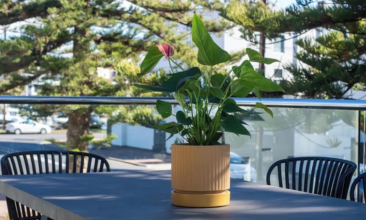 Photo of Outdoor in Glenelg North