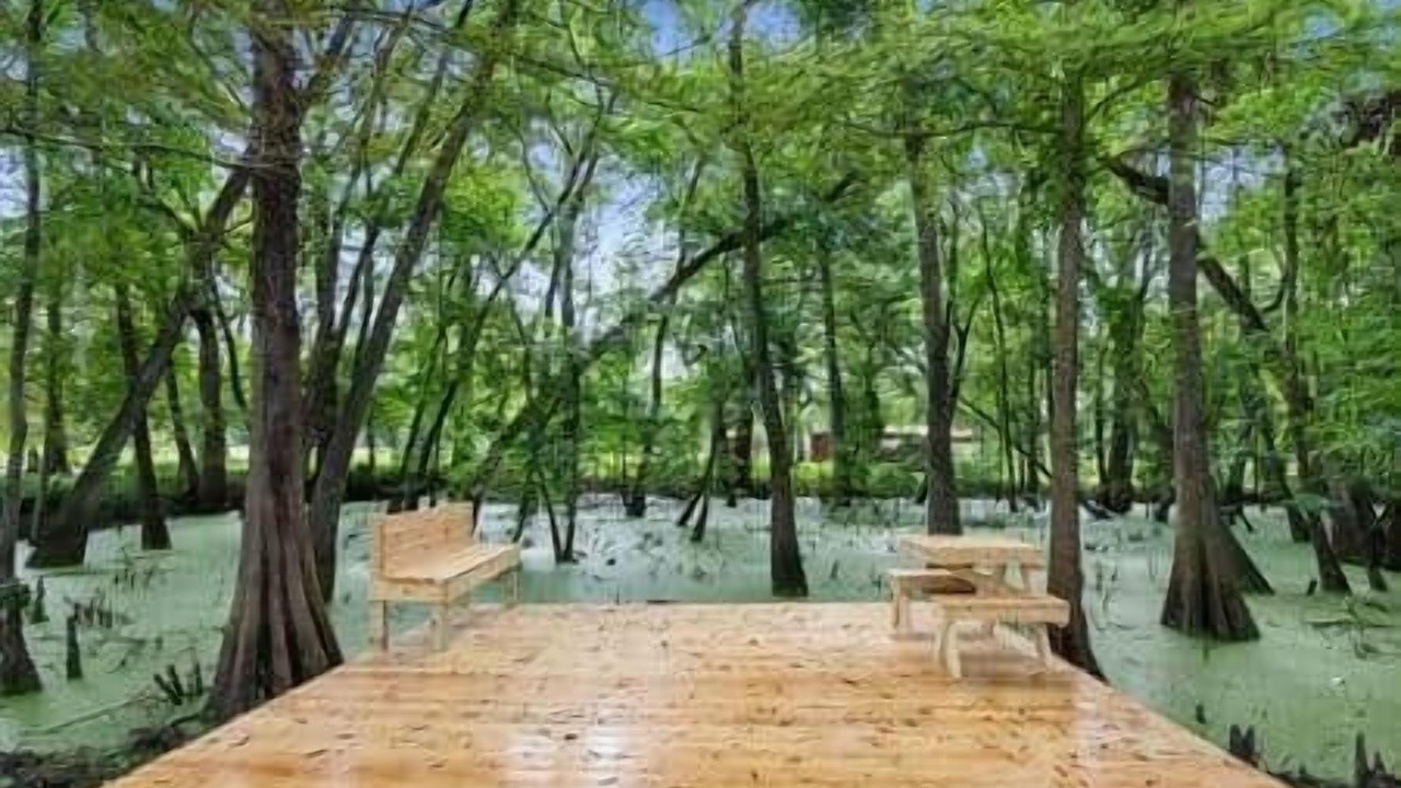 Photo of Outdoor in Carencro