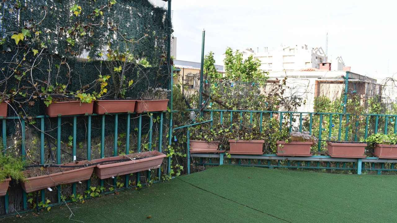 Photo of Outdoor in San Jose