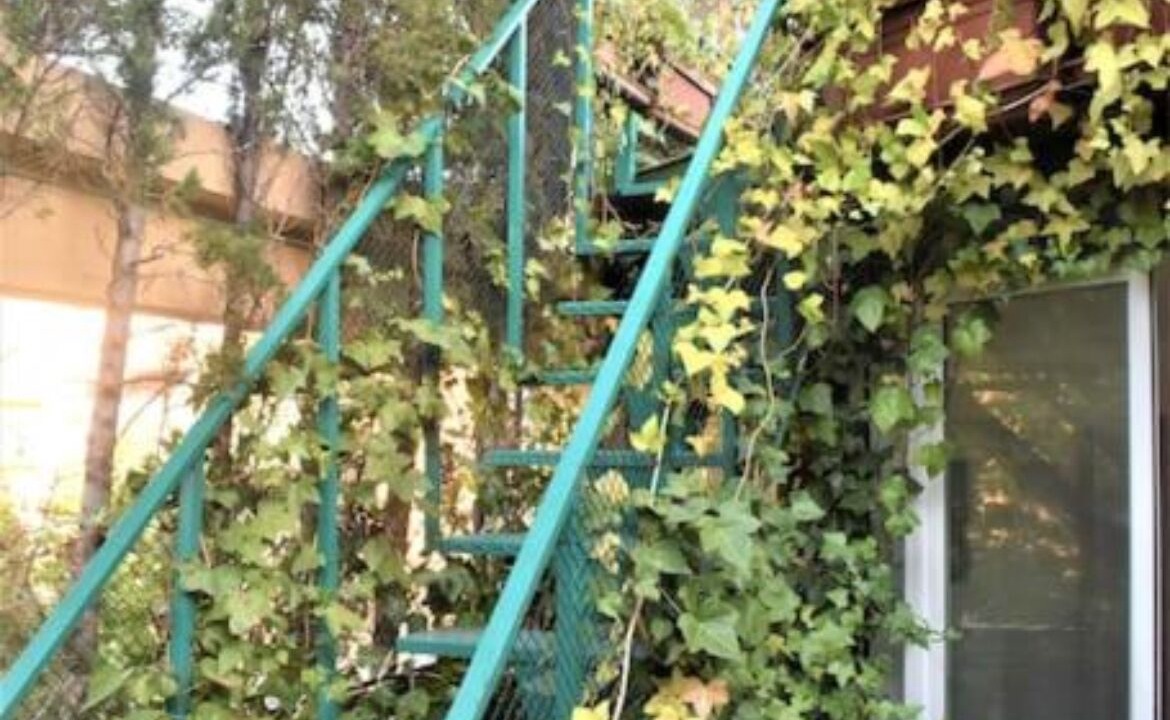 Photo of Outdoor in San Jose