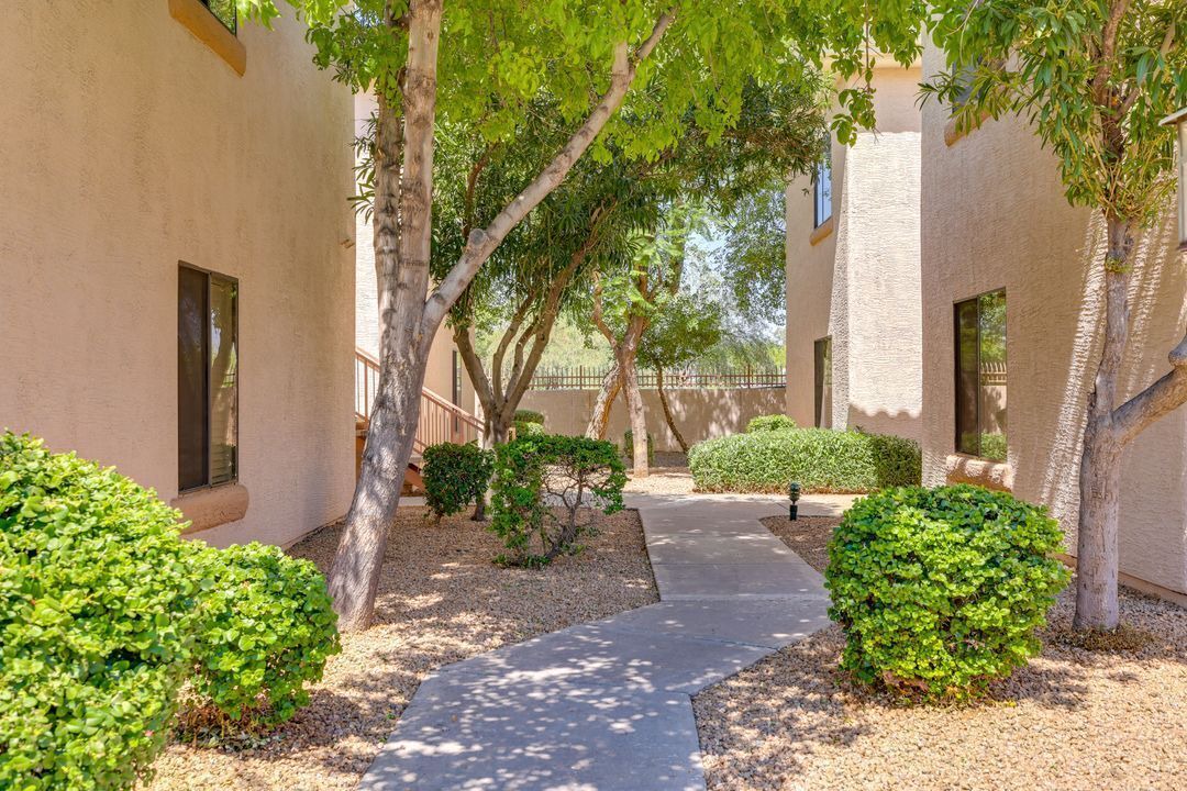 Photo of Outdoor in Maryvale