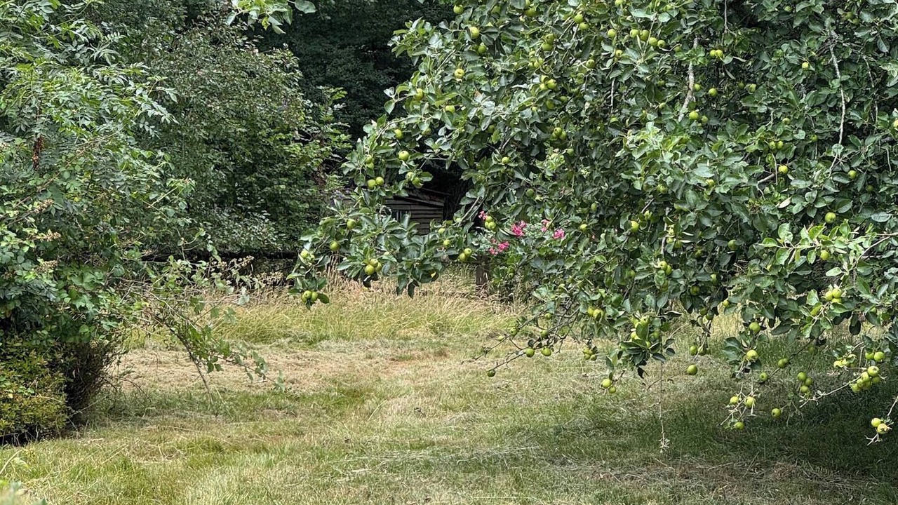 Photo of Outdoor in Ropley