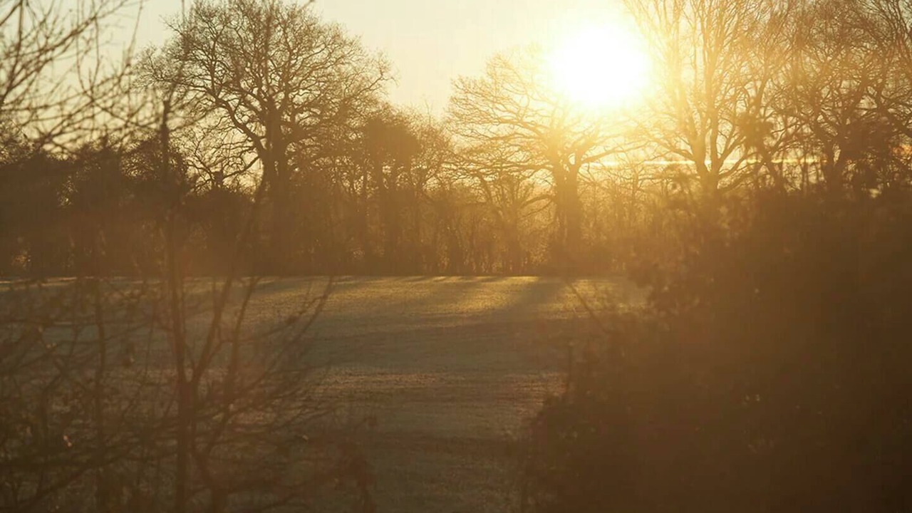 Photo of Others in Ropley