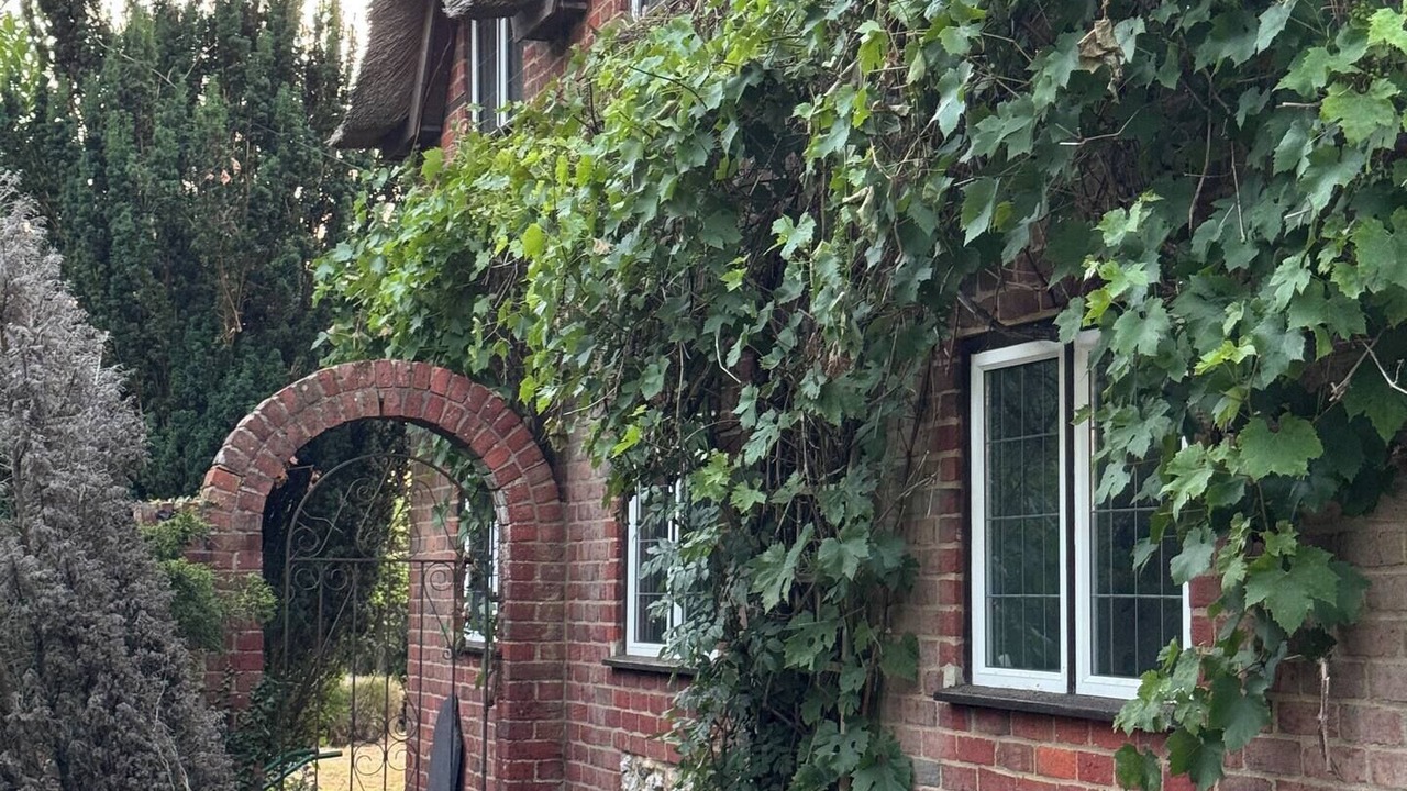 Photo of Outdoor in Ropley