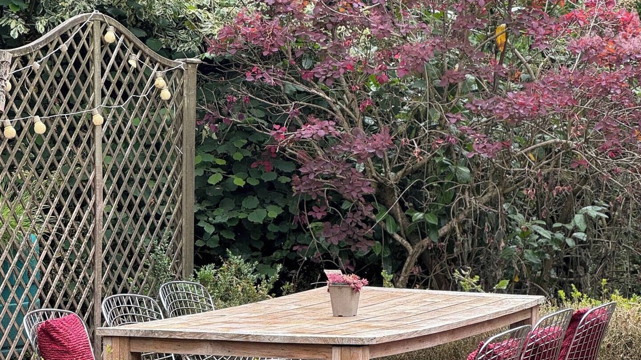 Photo of Outdoor in Ropley