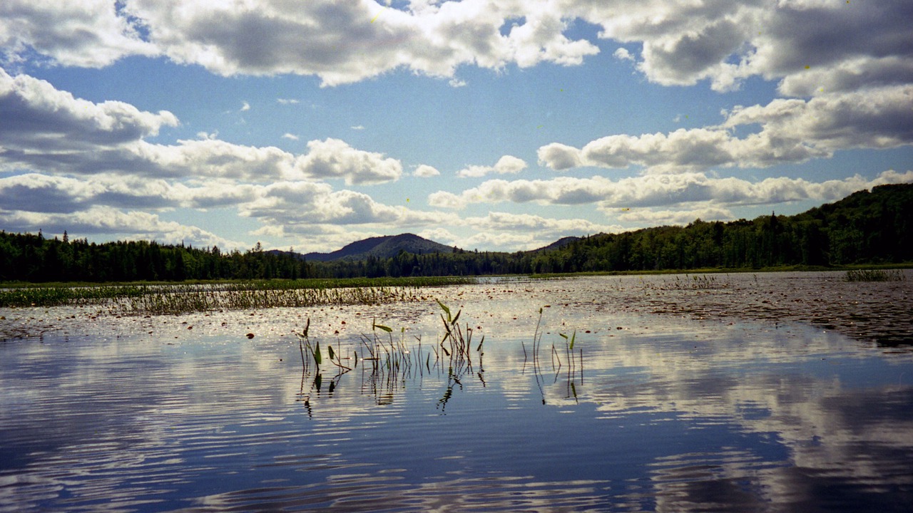 Photo of Outdoor in Town of Webb