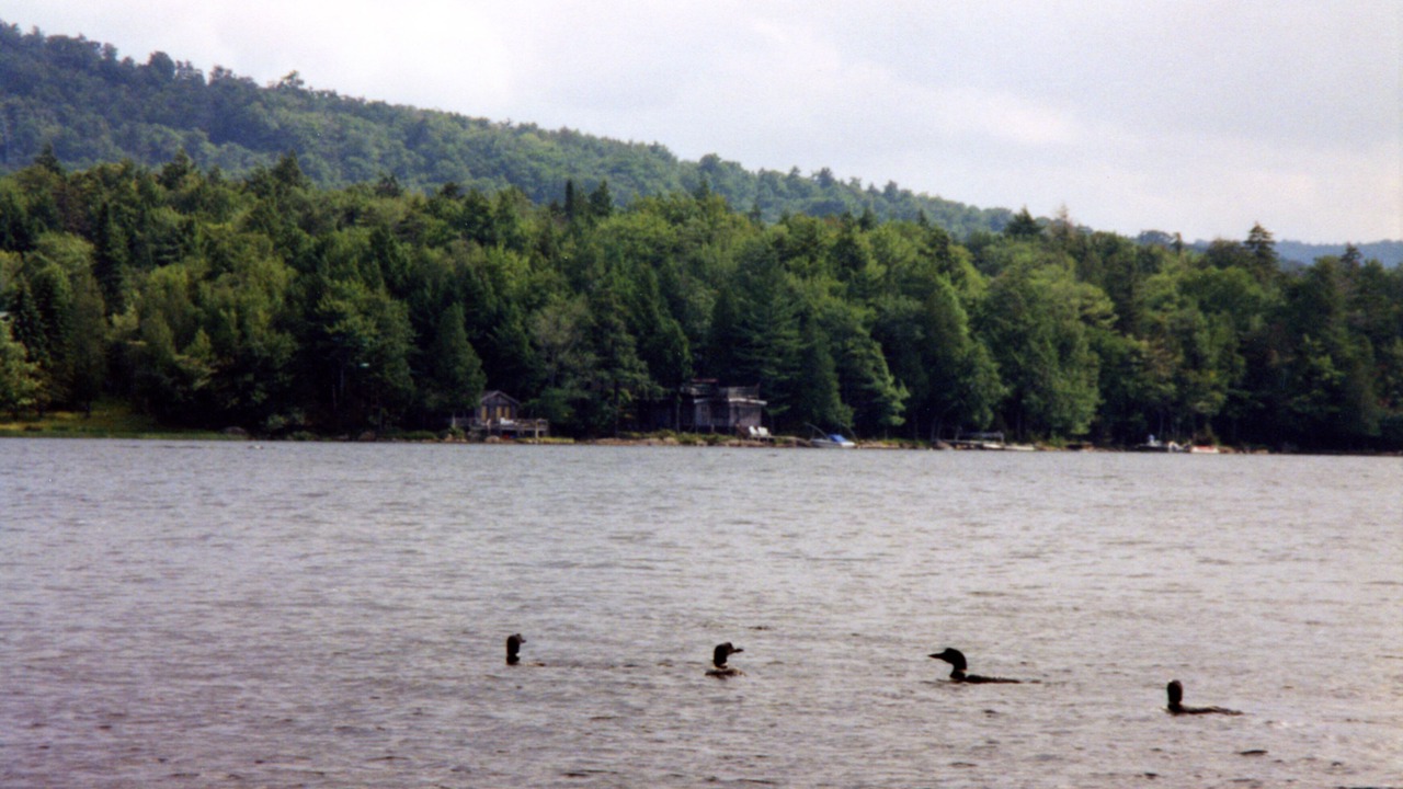 Photo of Others in Town of Webb
