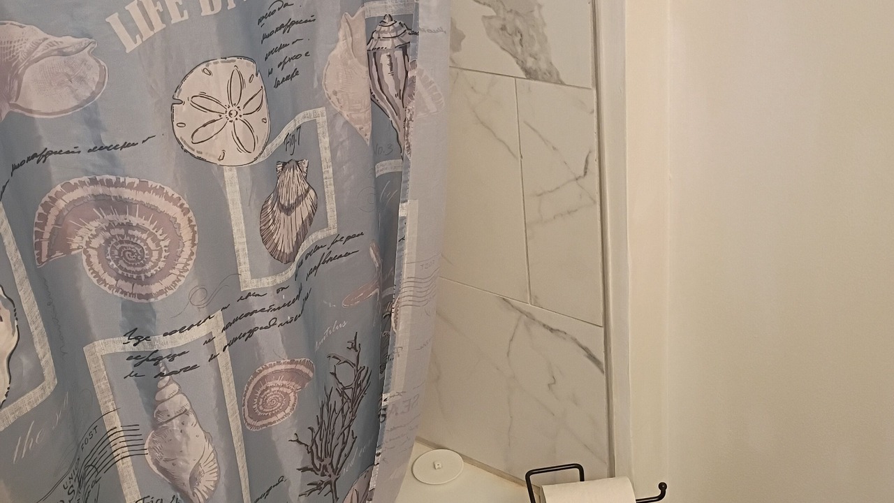 Photo of Bathroom in Whites Creek