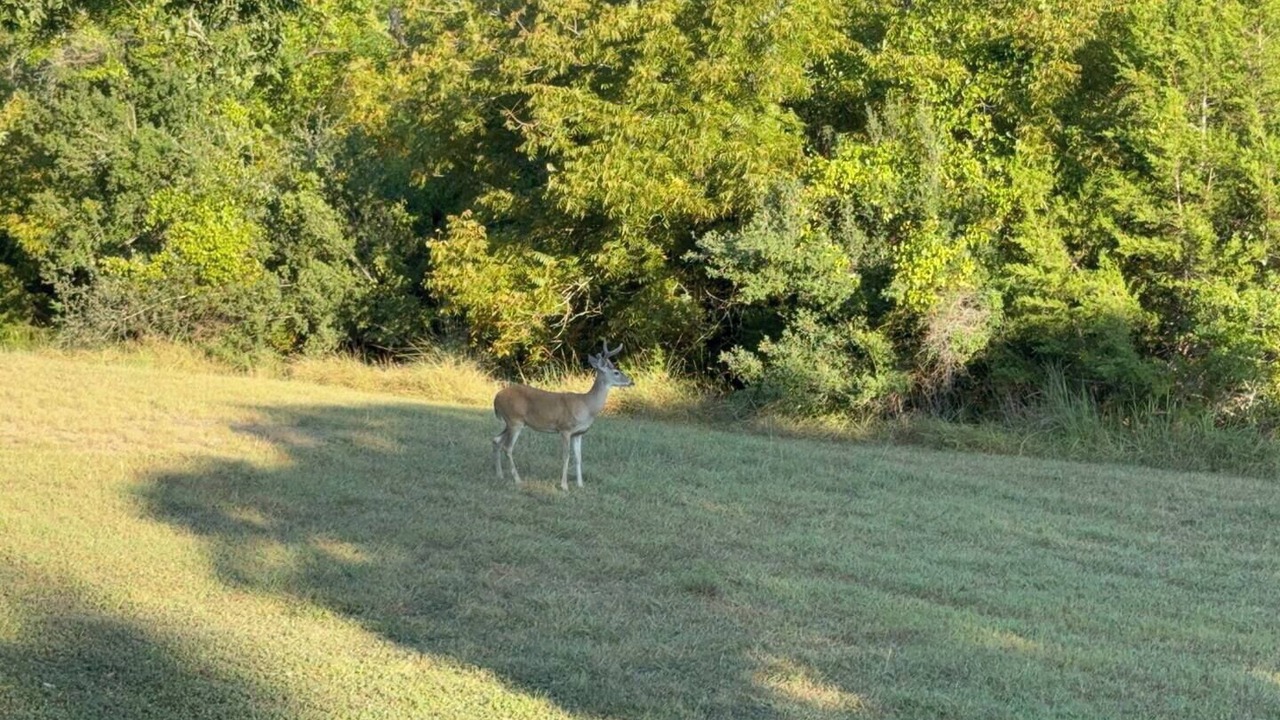 Photo of Others in Spicewood