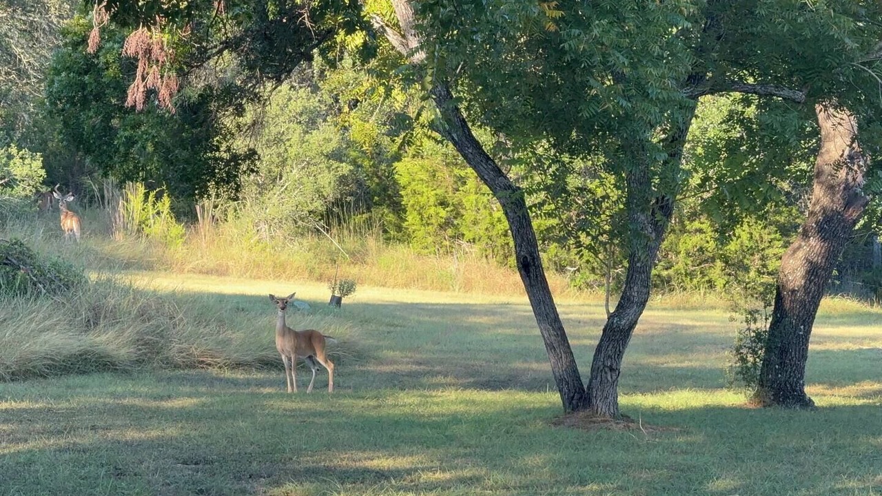 Photo of Others in Spicewood