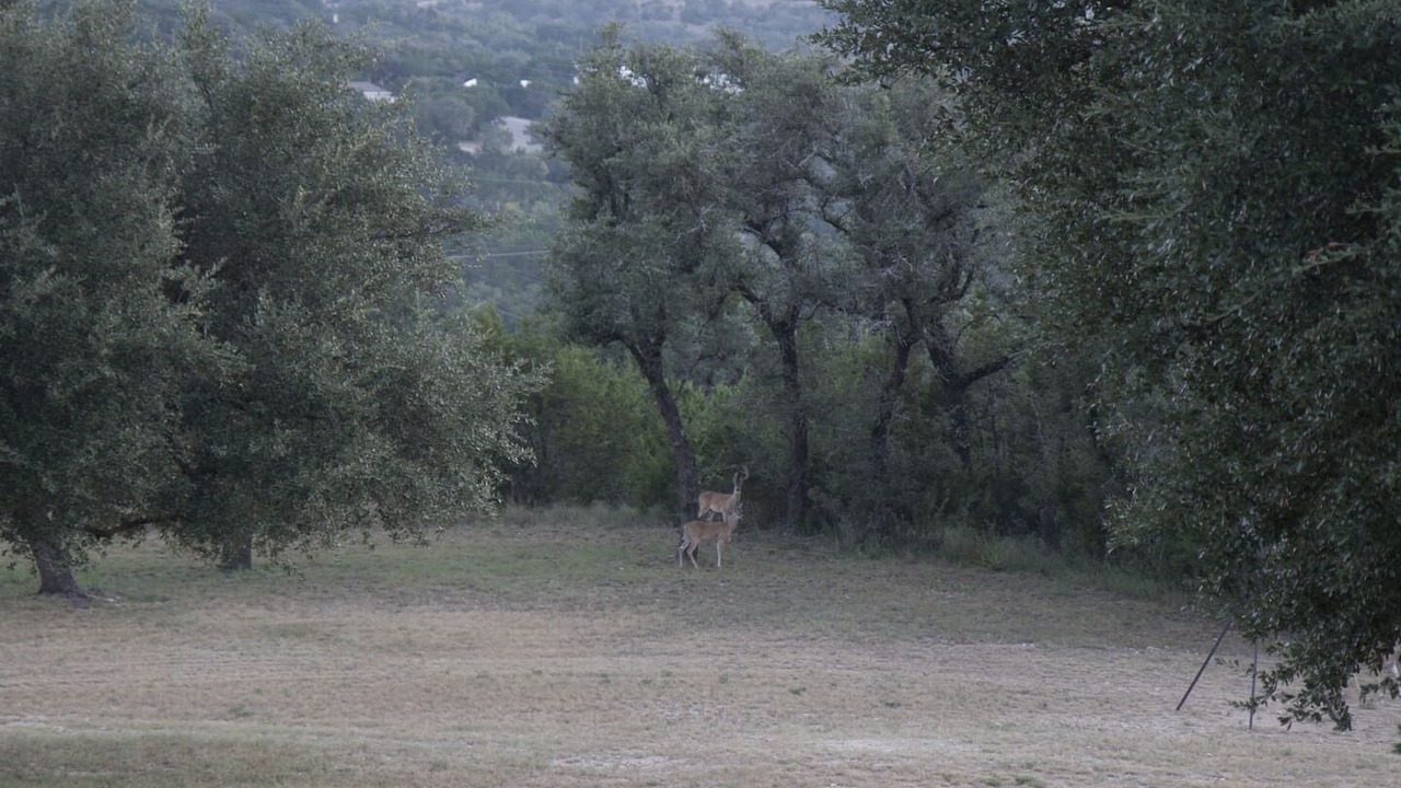 Photo of Others in Spicewood