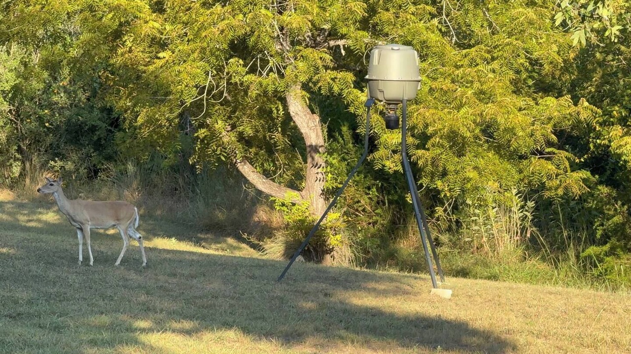 Photo of Others in Spicewood