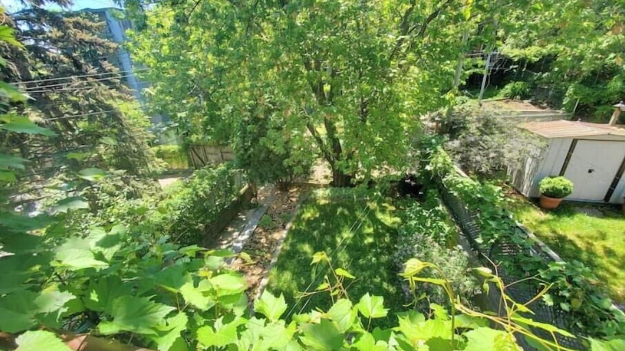 Photo of Outdoor in Sainte-Marie