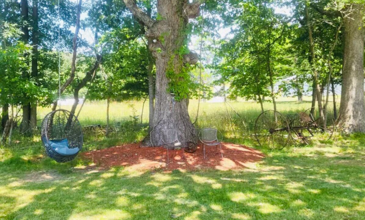 Photo of Outdoor in Wardensville