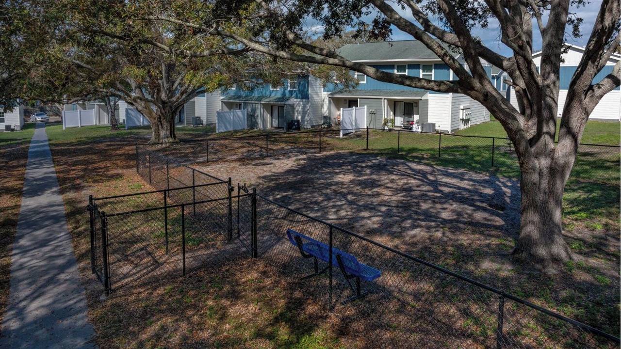 Photo of Outdoor in Dunedin