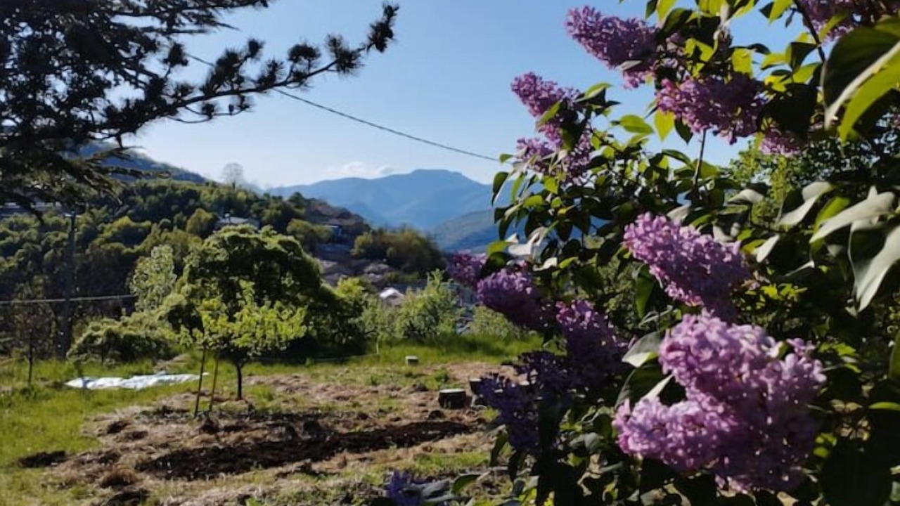 Photo of Outdoor in Eourres