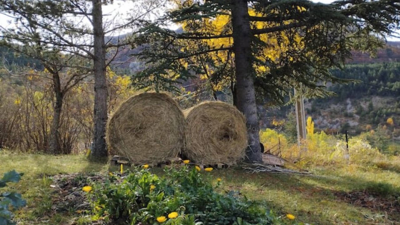 Photo of Outdoor in Eourres