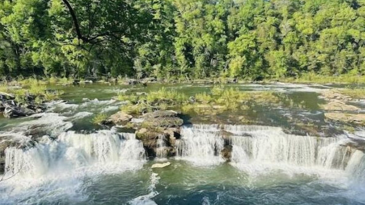 Photo of Others in Rock Island