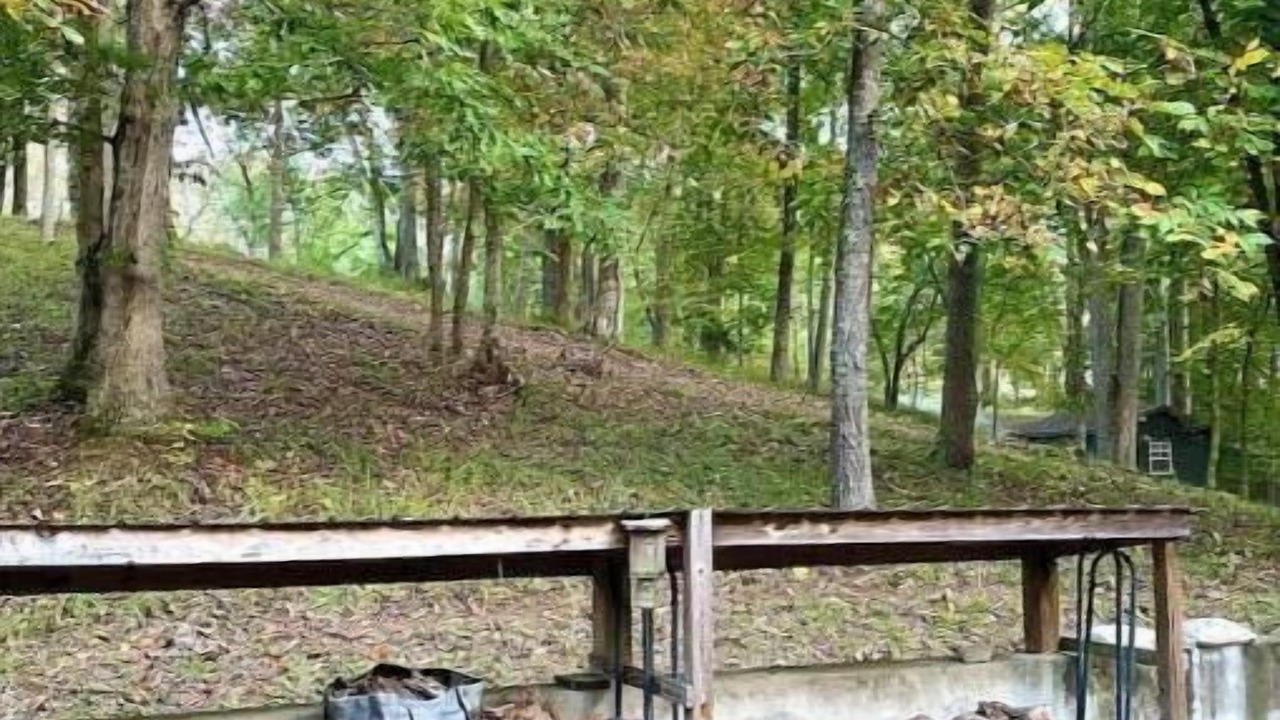 Photo of Others in Rock Island