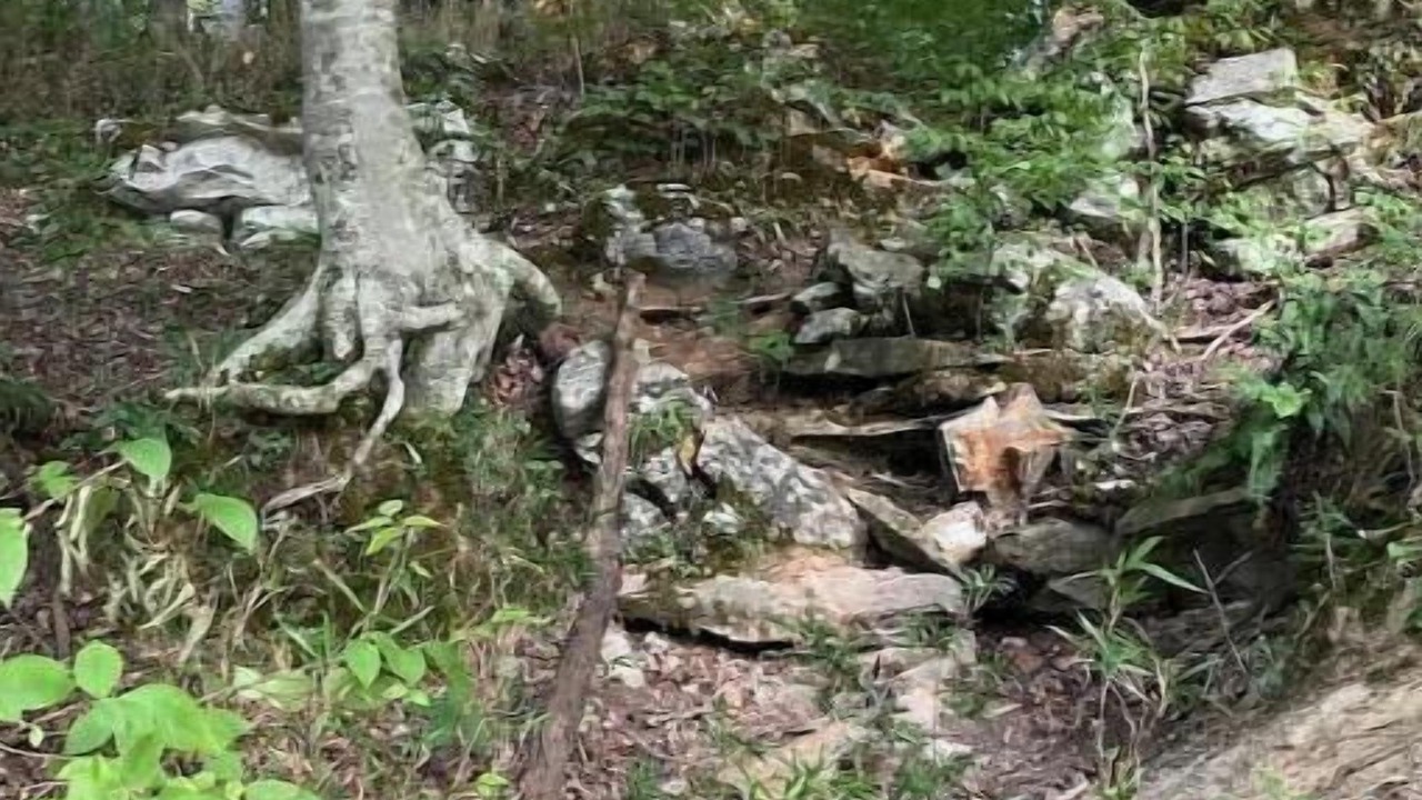 Photo of Others in Rock Island