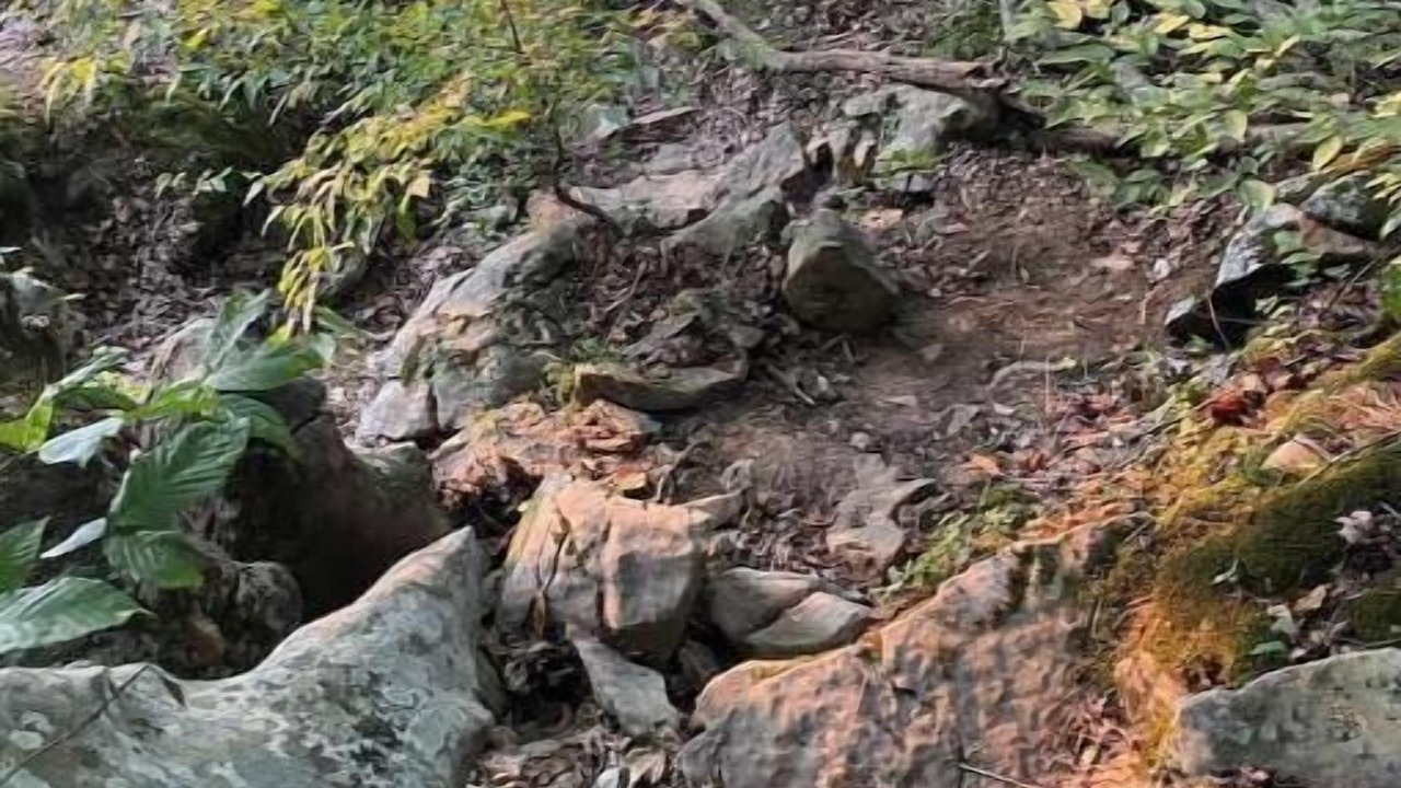 Photo of Others in Rock Island