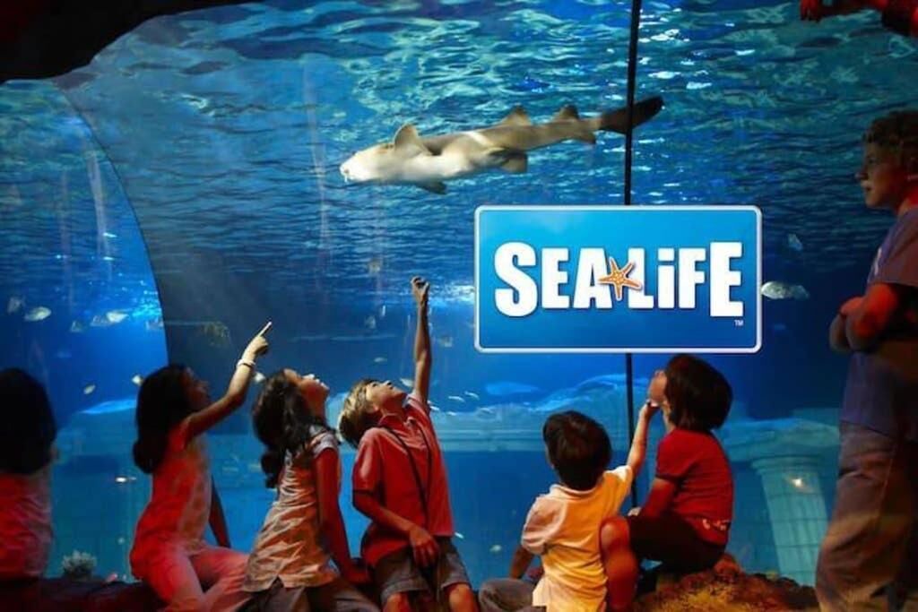 Photo of Others in Serris