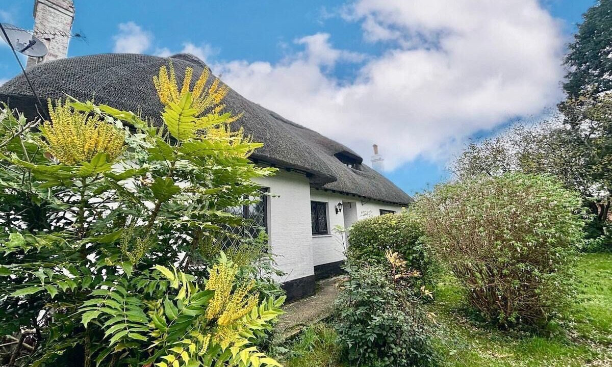 Photo of Outdoor in Waterlooville