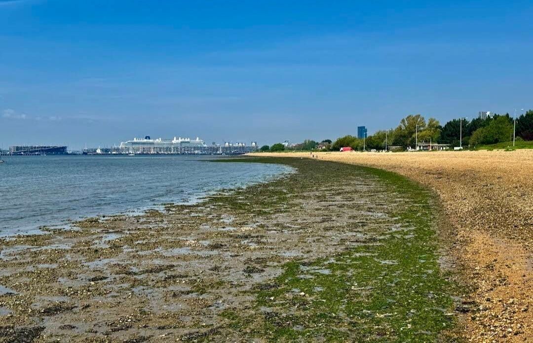 Photo of Others in Netley