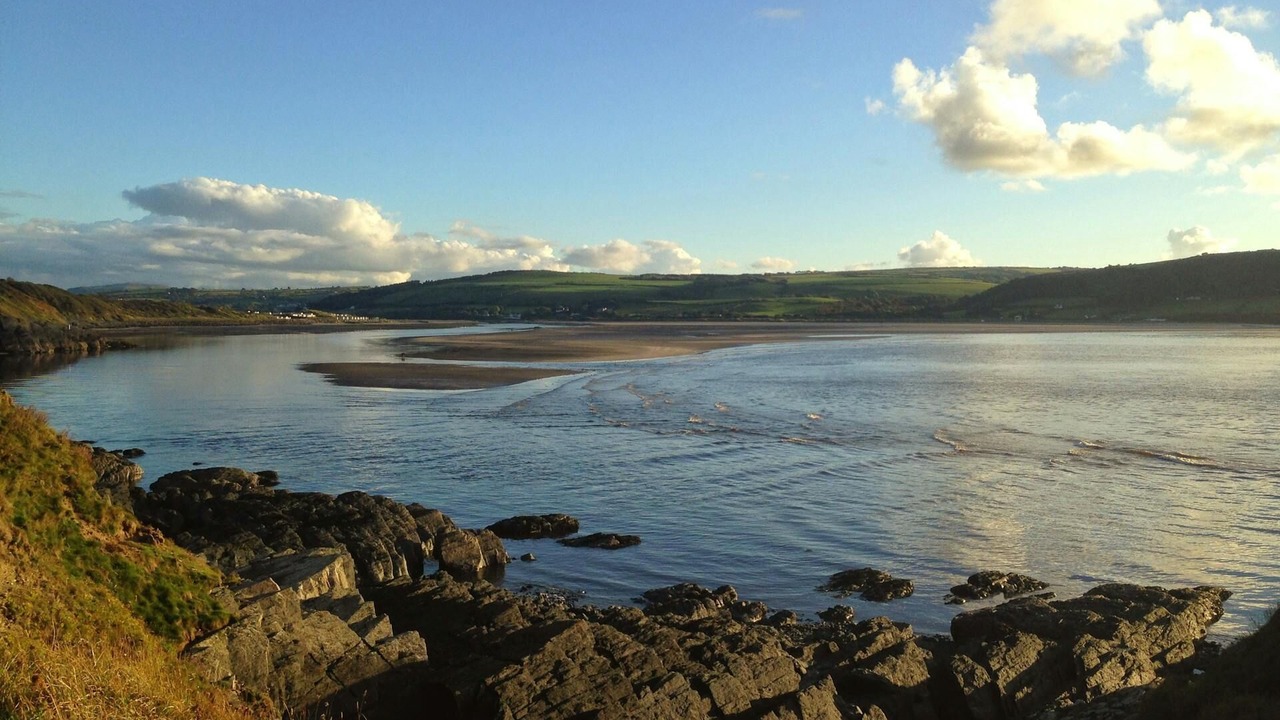 Photo of Others in Cenarth