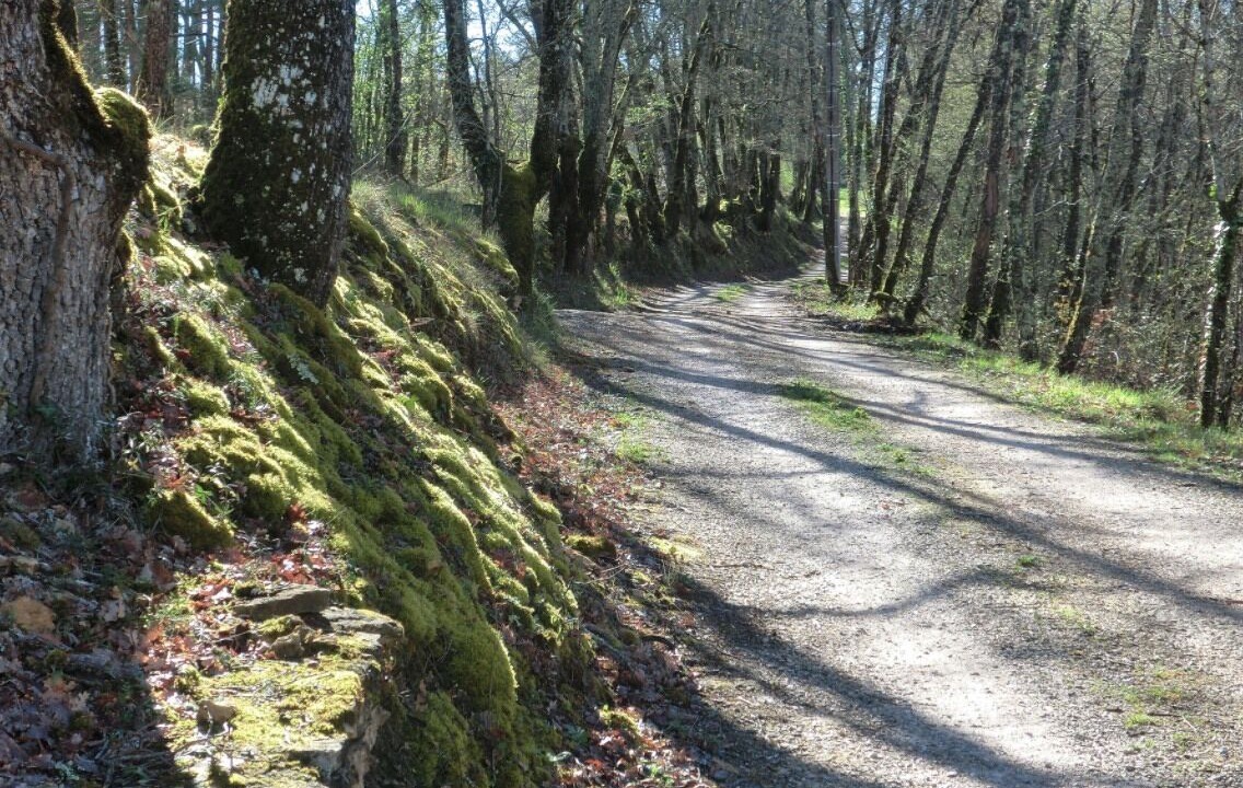Photo of Others in La Chapelle-Aubareil