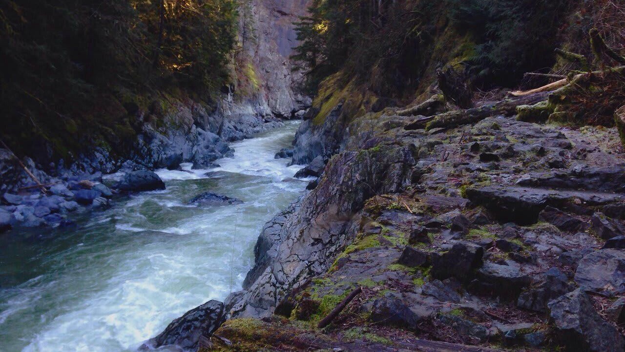 Photo of Others in Verlot