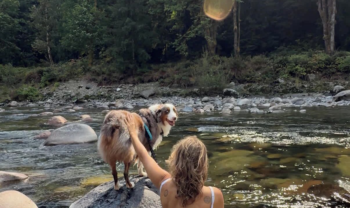 Photo of Others in Verlot