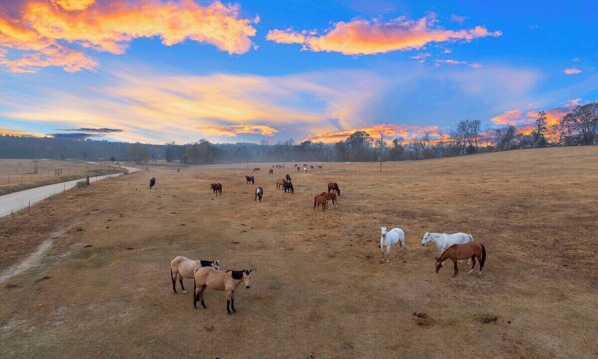 Photo of Others in Golden