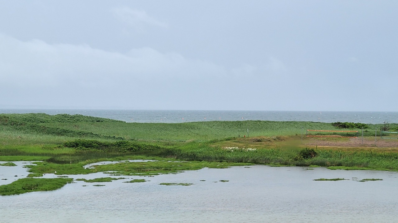 Photo of Others in Pointe-du-Chene